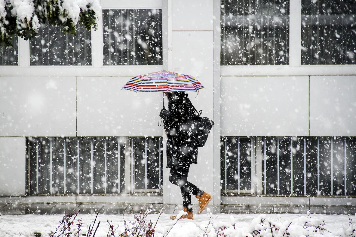 Informare meteo. Ninge în judeţul Dolj, marţi şi miercuri