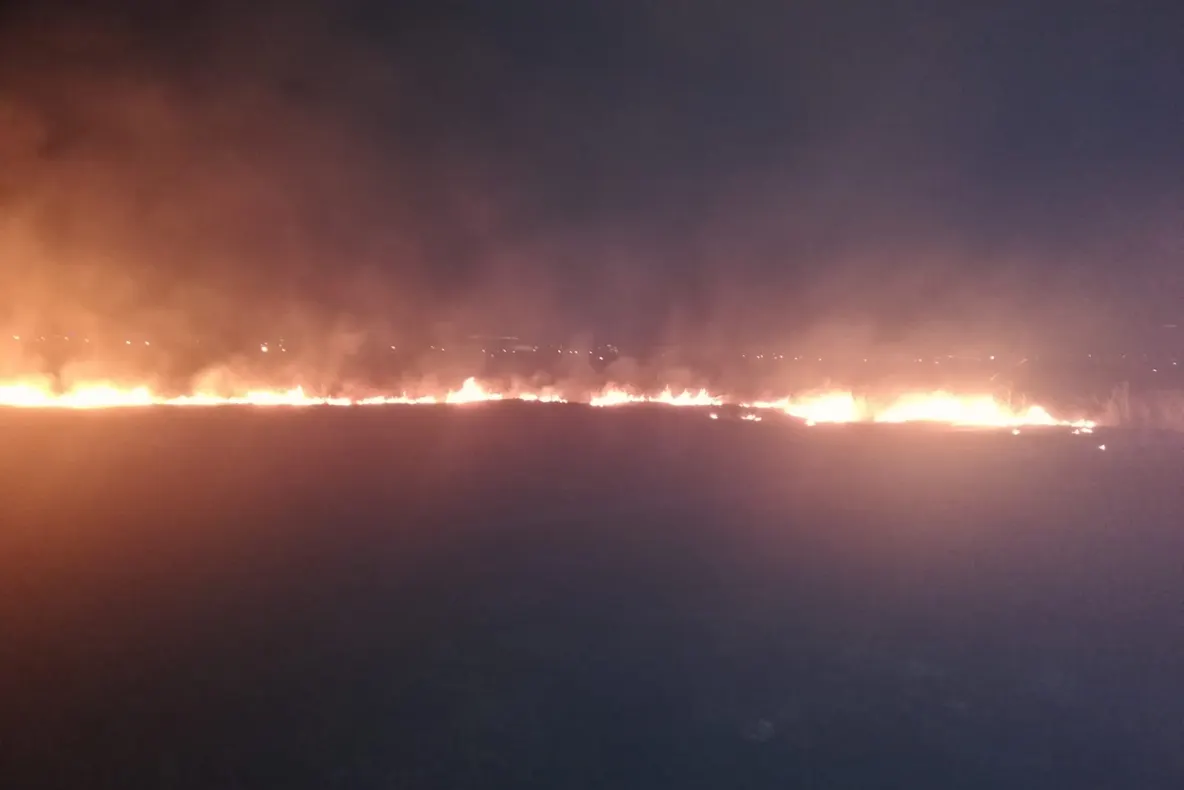 Incendiu de vegetaţie într-un cartier din Craiova. VIDEO