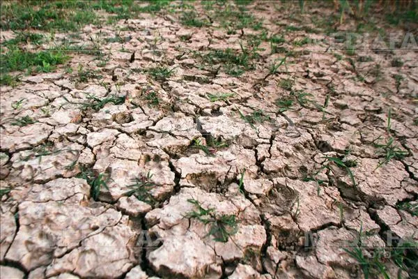 Proiect comun cu olandezii pentru zonele afectate de secetă din județul Dolj