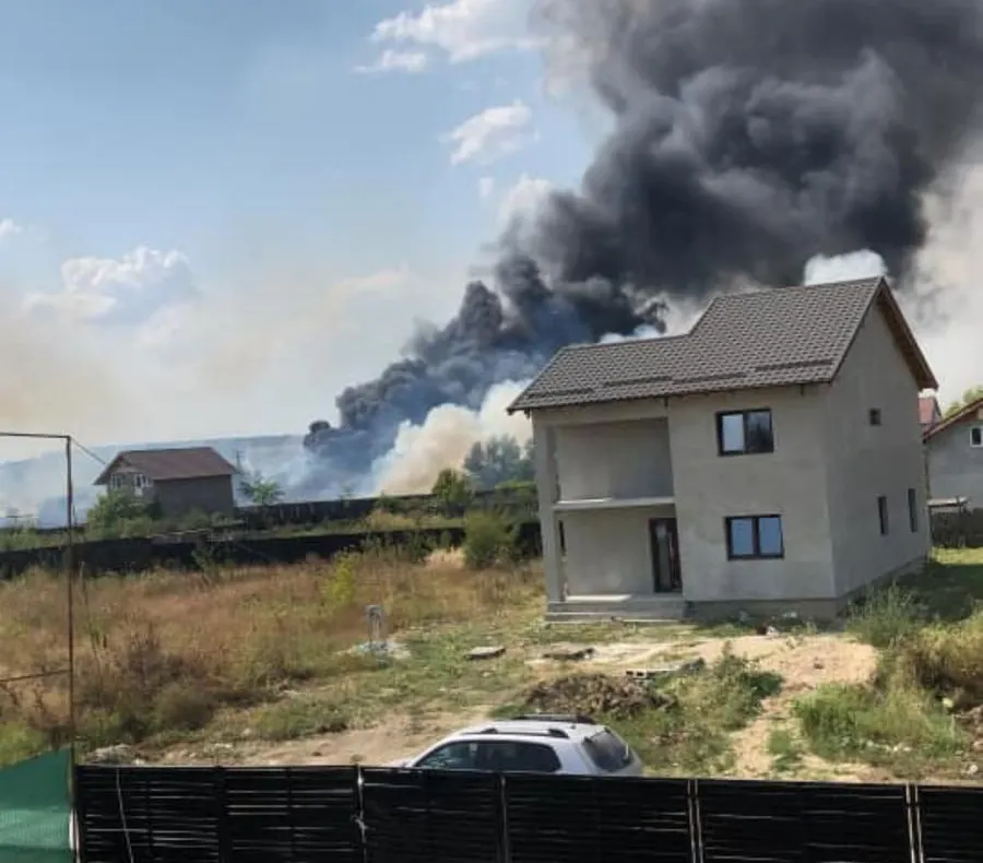 Incendiu de vegetaţie uscată în apropiere de Craiova. Pompierii au suplimentat numărul echipajelor trimise - VIDEO