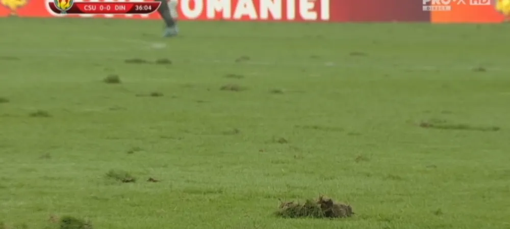 Gazonul Stadionului Ion Oblemenco din Craiova se schimbă. Autoritățile caută cea mai bună variantă