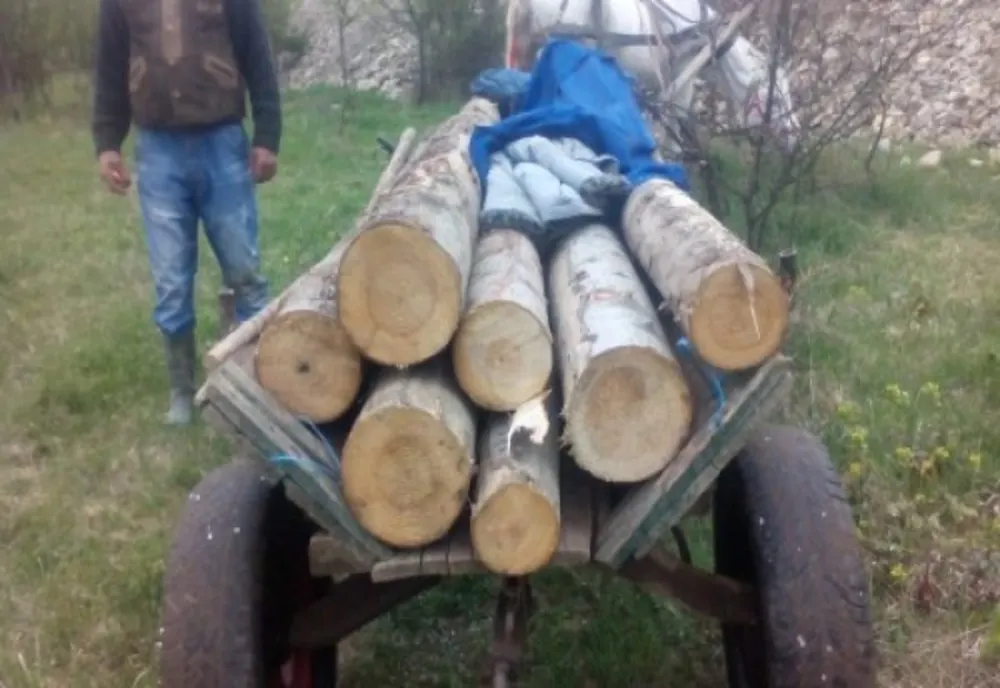 Dolj: La furat de lemne în a doua zi de Crăciun