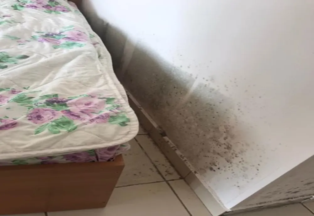 Primăria Calafat a fost amendată din cauza condițiilor insalubre găsite într-un centru de carantină