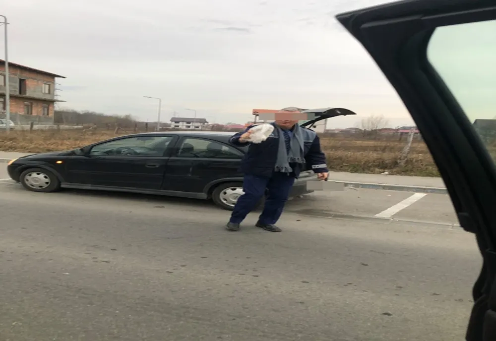 Conducerea IPJ Dolj face verificări după ce un polițist a aruncat mai mulți pisici pe marginea străzii 