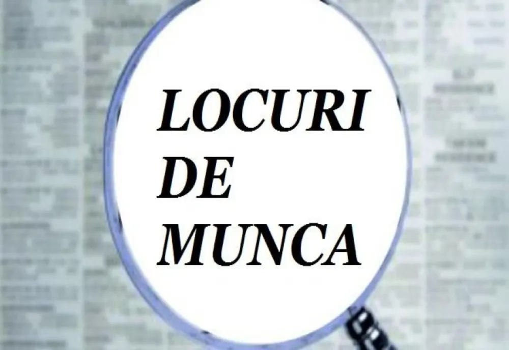 Dolj: Peste 260 de locuri de muncă disponibile