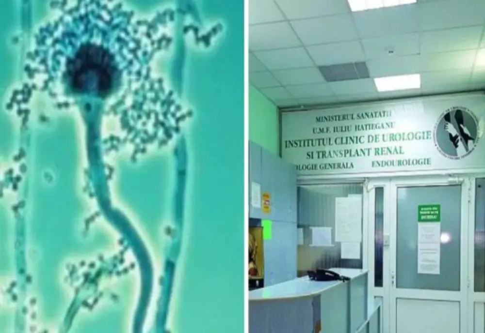 ALERTĂ SANITARĂ! O BACTERIE EXTREM DE PERICULOASĂ, GĂSITĂ ÎN SALA DE OPERAȚIE A UNUI MARE SPITAL DIN ȚARĂ