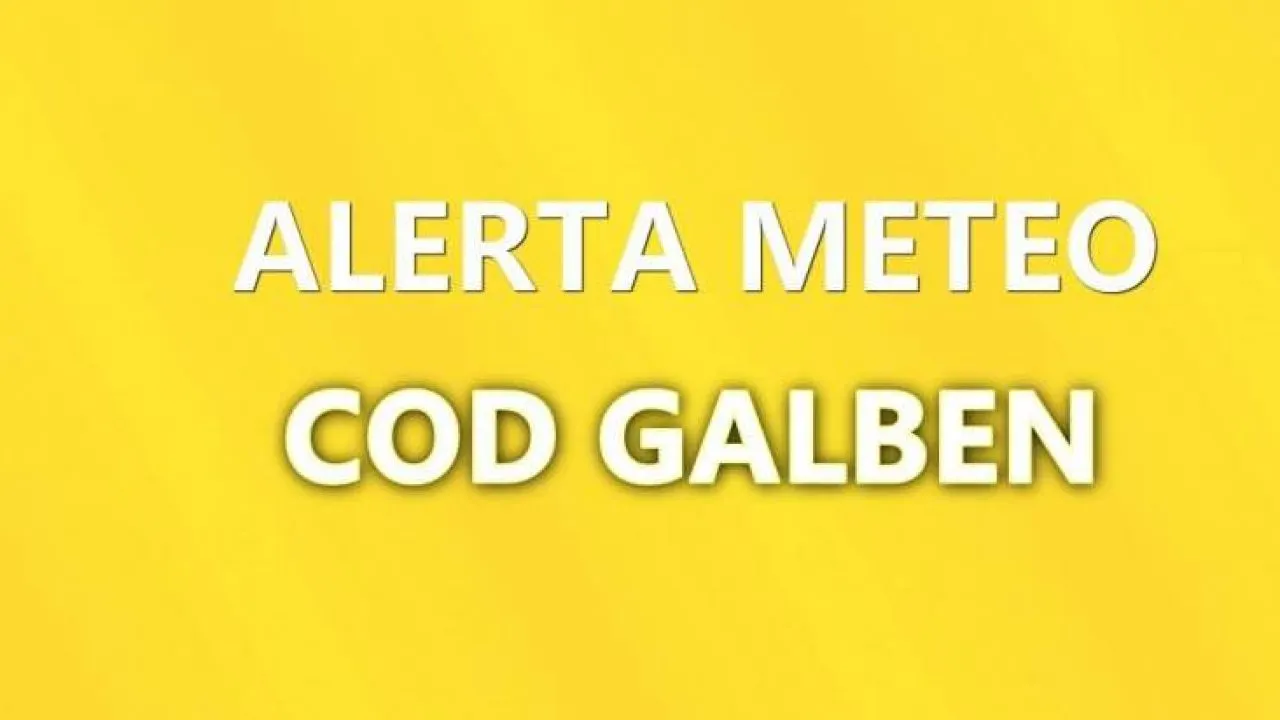 codgalben-1280x720