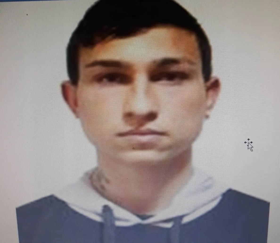 tanar cautat