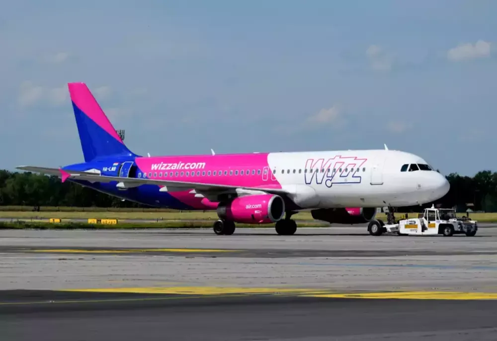 Zborul Craiova-Roma, anulat după ce aeronava a lovit o pasăre
