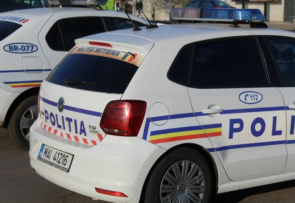  Un şofer din Dolj, drogat fiind, a lovit cu maşina un căţel, pe un drum din Mehedinţi