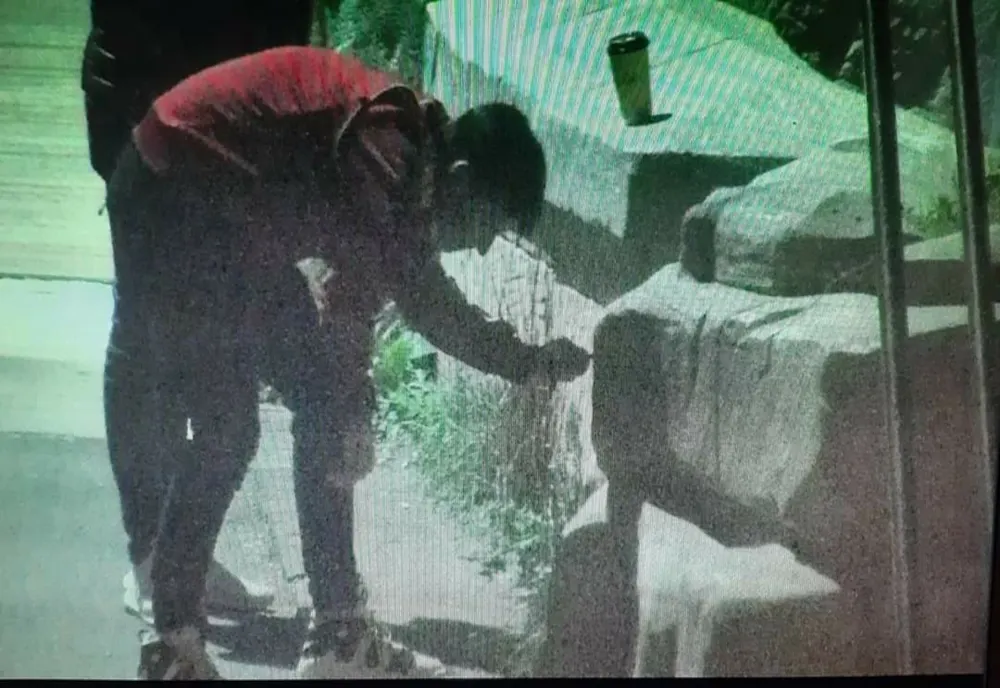 Craiova: Doi tineri din Slatina, amendaţi după ce au vandalizat podul suspendat din Parcul „Nicolae Romanescu”