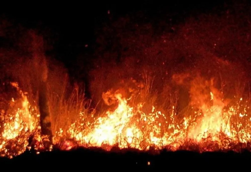 PESTE 400 DE ANGAJAȚI AI ROMSILVA, IMPLICAȚI ÎN ACȚIUNILE DE STINGERE A INCENDIILOR DE PĂDURE
