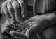 Pensionarii care ar putea primi mai mulți bani din 2027. Pragul CASS ar urma să fie schimbat