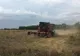 Producții record de cereale, în Dolj
