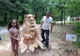 Copacii uscați din Parcul Tineretului devin, și anul acesta, personaje din povești. Șase sculptori români vor lucra cu drujba timp de cinci zile
