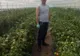 Cultivatorii de legume și fructe din Dolj, în circuitul comercial. Proiectul Casei de Comerț Unirea nu a fost abandonat