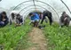 Ministerul Agriculturii are în plan susținerea financiară a liceelor agricole