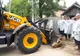 Măsură în forţă a DSVSA Dolj, într-un focar de pestă porcină africană. Toţi porcii dintr-un sat al comunei Teasc, ucişi - FOTO
