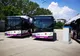 Primăria Craiova a lansat licitaţia pentru achiziţia a 46 autobuze electrice | Valoarea contractului este de circa 135 milioane lei