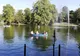 Plimbarea cu barca, mijloc de relaxare pentru craiovenii și turiștii care ajung în Parcul Romanescu. VIDEO/FOTO