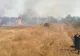 Sute de hectare de vegetație uscată au ars, în doar două zile, în județul Dolj-video