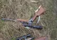 12 arme de vânătoare ridicate în urma unor descinderi. Doi doljeni sunt acuzați de braconaj 