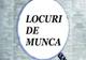 Dolj: Peste 260 de locuri de muncă disponibile
