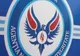 Un consilier local din Bîrca, judeţul Dolj, găsit incompatibil