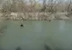 VIDEO. Doi bărbaţi din Dolj, reţinuţi pentru furtul unei casete de bani. Poliţiştii, căutări în râul Jiu