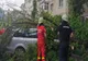 Copac căzut peste o maşină, în Craiova