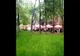 VIDEO. Amendaţi de poliţişti după ce au dat discotecă în Parcul Romanescu din Craiova
