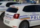  Un şofer din Dolj, drogat fiind, a lovit cu maşina un căţel, pe un drum din Mehedinţi
