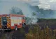 Incendiile fac ravagii în județul Dolj. Zeci de hectare de vegetație uscată și culturi agricole au fost mistuite de flăcări